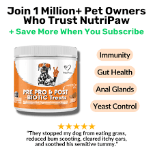 Triple-Biotic Dog Treats – 120 Soft Chews for Digestive Health, Gut Balance & Immune Support