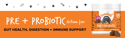 Triple-Biotic Dog Treats – 120 Soft Chews for Digestive Health, Gut Balance & Immune Support