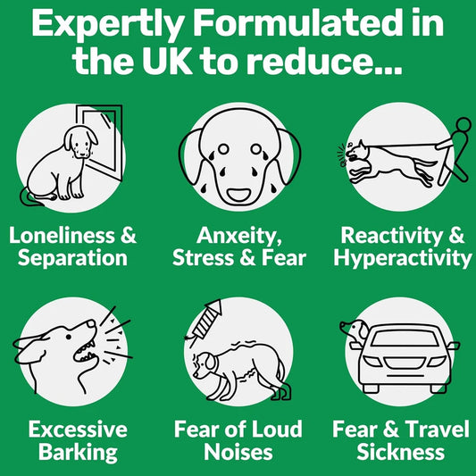 Calming Treats for Dogs – Anxiety, Stress, Barking & Travel Relief – 60 Soft Chews